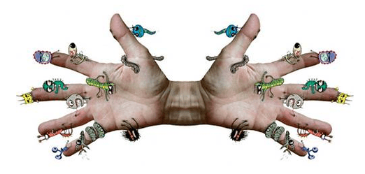 Formas de infectar parasitos